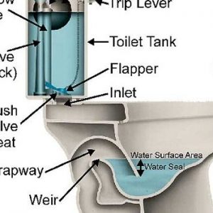Toilet Diagram 500×350